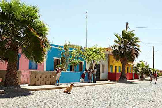 En gate med fargerike hus, palmer og mennesker som går tur. (AI-generert tekst)