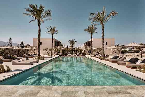 Et rektangulært utendørs svømmebasseng omgitt av solsenger og parasoller, med palmer og bygninger i bakgrunnen. (AI-generert tekst)