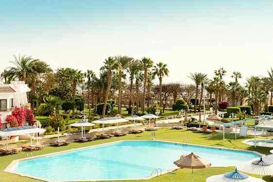 Basseng med solsenger, parasoller og grøntområder i bakgrunnen. (AI-generert tekst)