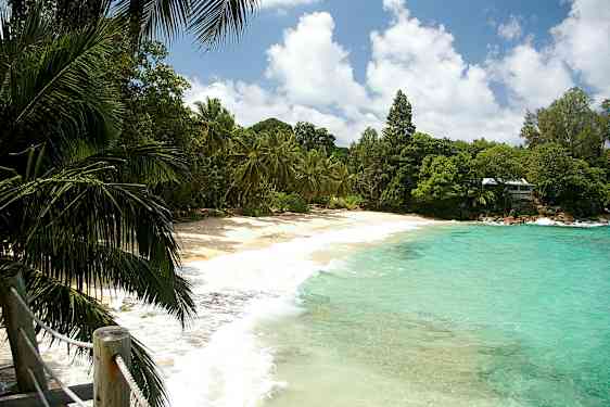 En sandstrand med turkis vann og grønne palmer. (AI-generert tekst)