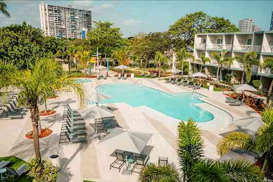 Utendørs basseng med solsenger og parasoller, omgitt av trær og grønne planter. (AI-generert tekst)