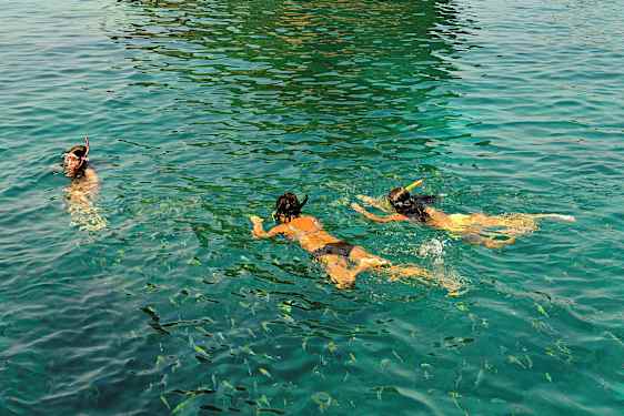 Personer som snorkler i klart vann med fisker rundt. (AI-generert tekst)