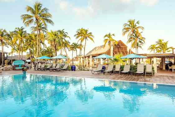 Bassengområde med solsenger, parasoller og palmer i bakgrunnen. (AI-generert tekst)