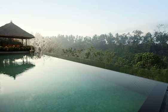 Et infinitybasseng med klart vann og utsikt over frodig tropisk vegetasjon og palmer. (AI-generert tekst)