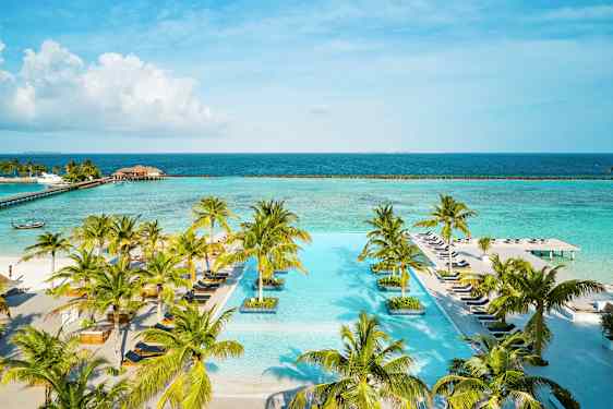 Et evighetsbasseng omgitt av palmer med havet i bakgrunnen. (AI-generert tekst)