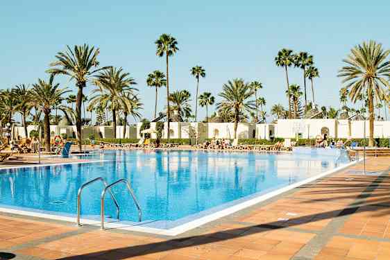 Et utendørsbasseng omgitt av solsenger og palmer. (AI-generert tekst)