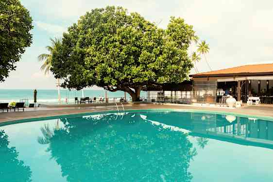 Et basseng ved siden av et stort tre, med havet i bakgrunnen og en bygning. (AI-generert tekst)