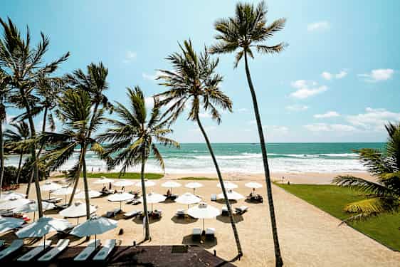 En sandstrand med parasoller, solsenger og palmer foran havet under en klar himmel. (AI-generert tekst)