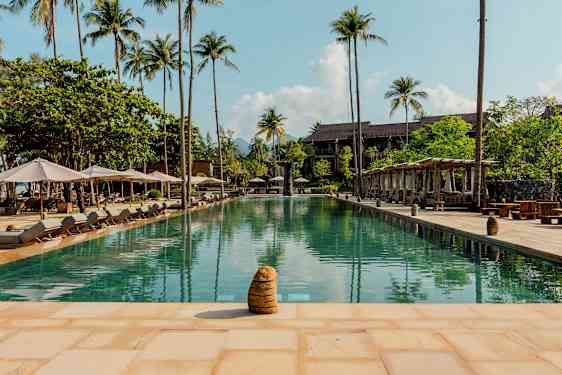 Et utendørs svømmebasseng omgitt av solsenger og palmer. (AI-generert tekst)