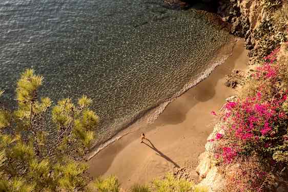 Utsikt over en liten strand med klart vann, sand og en person som går. Fargerike blomster og planter er synlige langs stranden. (AI-generert tekst)
