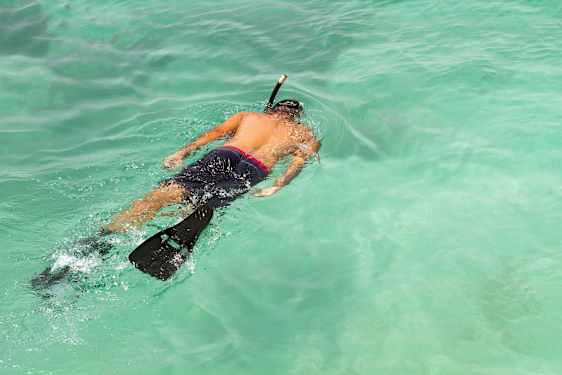 En person snorkler i klart turkisblått vann. (AI-generert tekst)