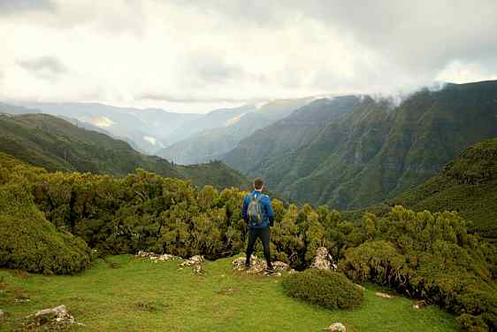 En person står på en grønn høyde med utsikt over skogkledde fjell. (AI-generert tekst)