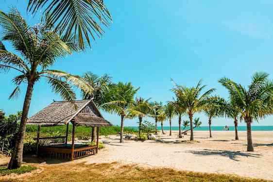 Avslappende stund omgitt at kokospalmer på Cha Am-stranden