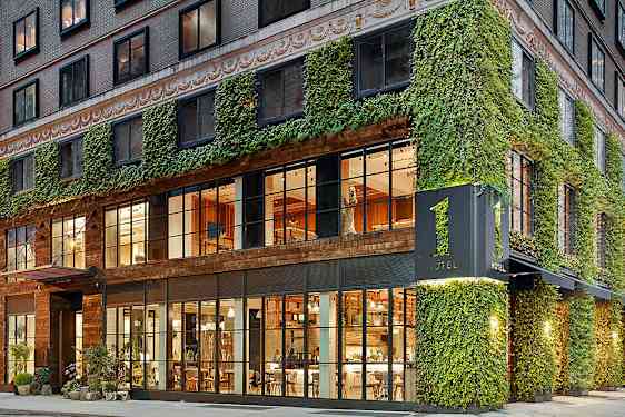 En fasade av et hotell dekket med eføy, med store glassvinduer som viser interiørets varme lys. (AI-generert tekst)