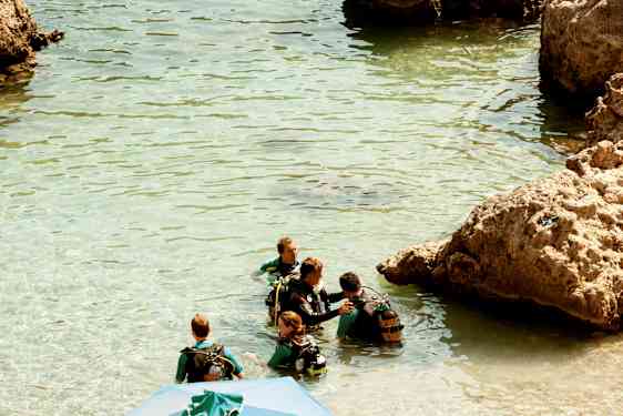 Gruppe personer i våtdrakter og dykkerutstyr står i klart vann ved steiner. (AI-generert tekst)