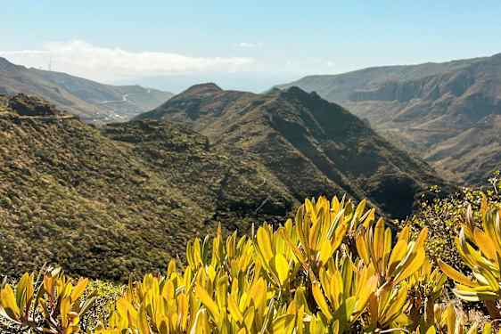 Utsikt over berglandskap med grønn vegetasjon og busker i forgrunnen. (AI-generert tekst)
