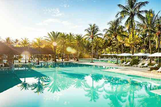 Svømmebasseng omgitt av solsenger og palmer. (AI-generert tekst)