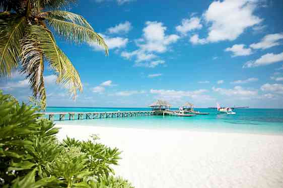 En hvit sandstrand med palmer og brygge som leder ut til resorthus på vannet. Et sjøfly er synlig ved siden av bryggen. (AI-generert tekst)