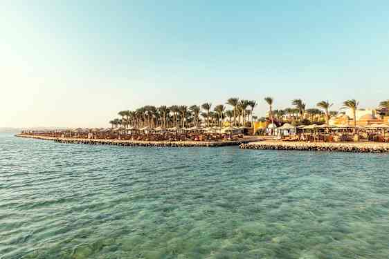 En strand med parasoller og palmer ved siden av klart blått vann. (AI-generert tekst)