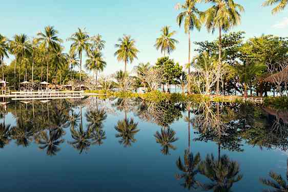 Basseng med palmer som reflekteres i vannet. (AI-generert tekst)