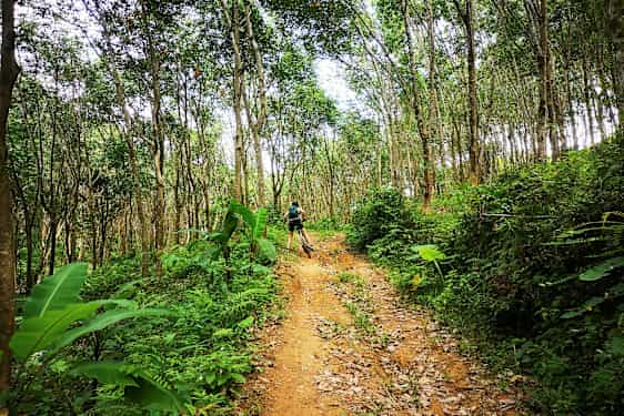 Person sykler opp langs en skogssti omgitt av trær og grønt. (AI-generert tekst)
