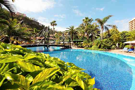 Et utendørsbasseng omgitt av grønne planter og palmer. En liten bro går over bassenget. (AI-generert tekst)