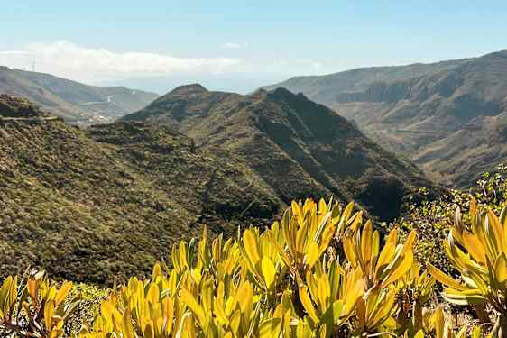 Utsikt over berglandskap med grønn vegetasjon og busker i forgrunnen. (AI-generert tekst)