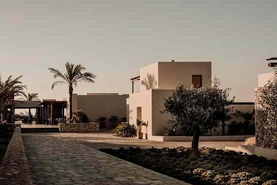 En lys bygning omgitt av palmer og en steinbelagt gangvei. (AI-generert tekst)