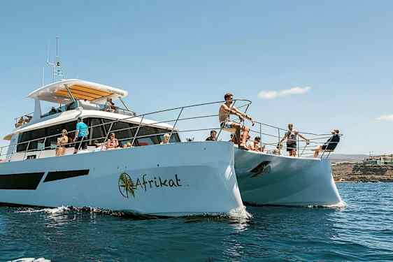 Personer på en katamaran i solfylt vær, omgitt av vann og en kystlinje i bakgrunnen. (AI-generert tekst)