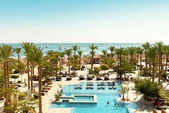 Utsikt over et utendørsbasseng omgitt av palmer og solsenger, med havet i bakgrunnen. (AI-generert tekst)