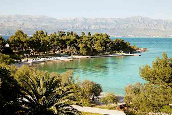 Utsikt over en strand med turkis vann og furutrær. (AI-generert tekst)