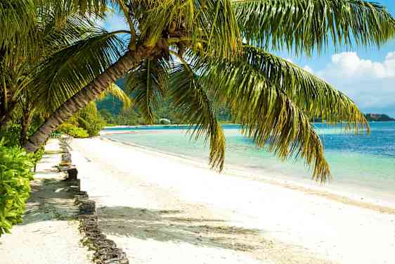 En strand med hvit sand, omgitt av klart blått vann og overhengende palmetrær. (AI-generert tekst)