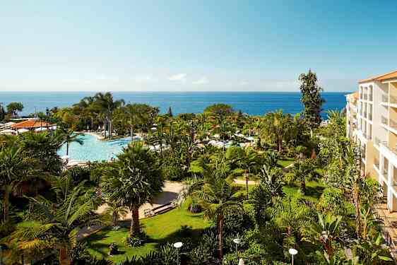 En hotellhage med palmer og planter, et basseng i midten og havet i bakgrunnen. (AI-generert tekst)