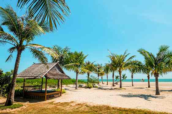 Avslappende stund omgitt at kokospalmer på Cha Am-stranden