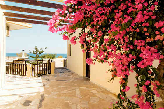 Inngang med steinlagt gulv, en blomstrende rosa busk og havutsikt. (AI-generert tekst)