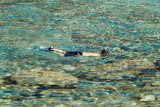 Person med snorkel svømmer i klart vann. (AI-generert tekst)