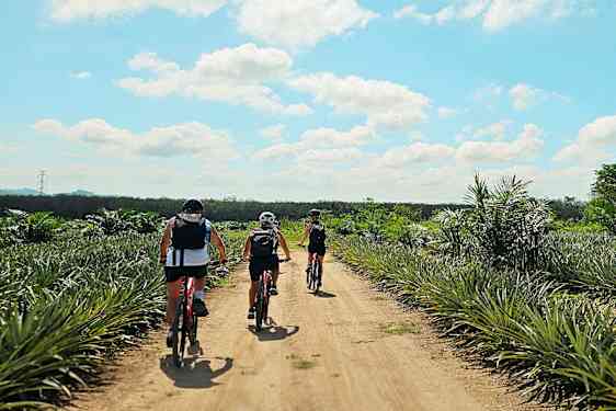 Tre personer sykler på en grusvei gjennom et tropisk landskap. (AI-generert tekst)