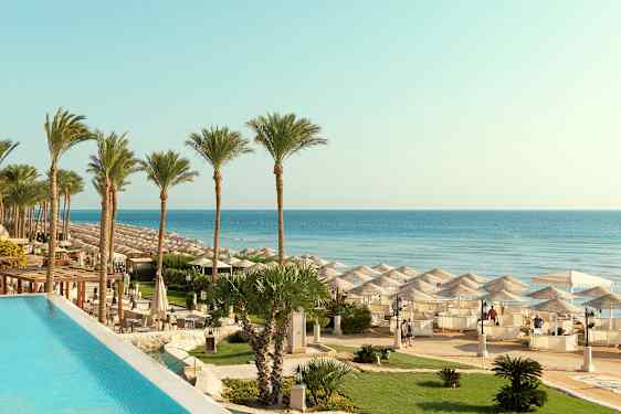 Palmtrær ved en strand med parasoller og klart blått vann. (AI-generert tekst)