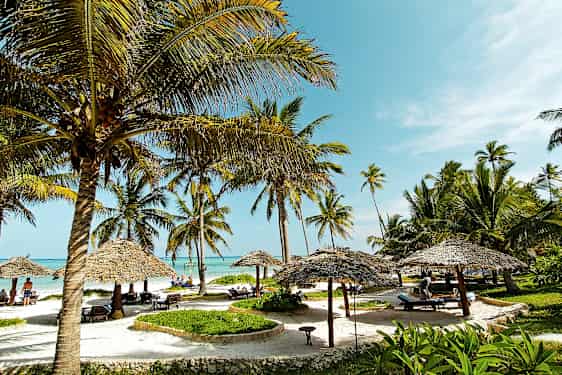 Strand med kokospalmer, parasoller og solsenger under en blå himmel. (AI-generert tekst)