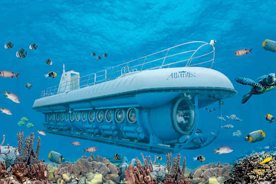 AUA Atlantis Submarine (ATNE)