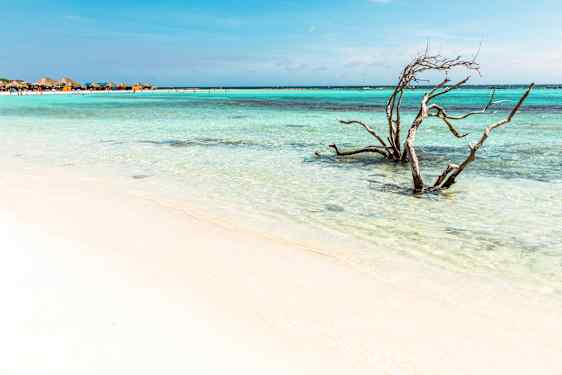 AUA Baby Beach Off-Road Safari (BB7H)