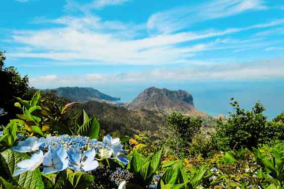 FNC Jeepsafari Country delight & Farmers Market (JCFM)