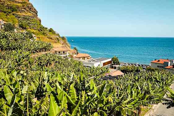 FNC Smaker av Madeira (SMAF)