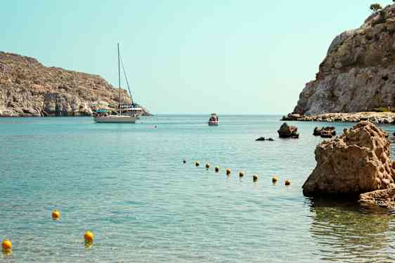 RHO Triton- whitout transfer (TRIT)