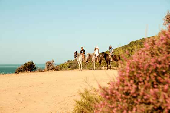 JSI Horse Riding (HORS)