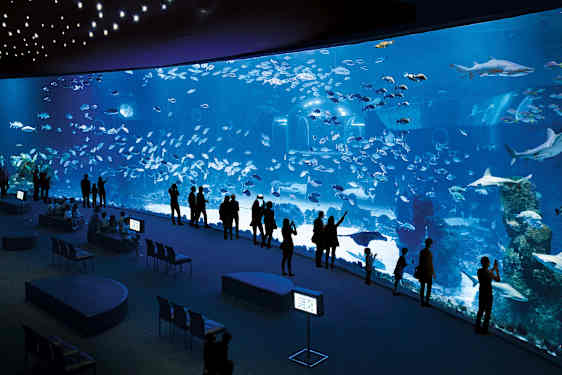 LPA Poema del Mar (PONE)