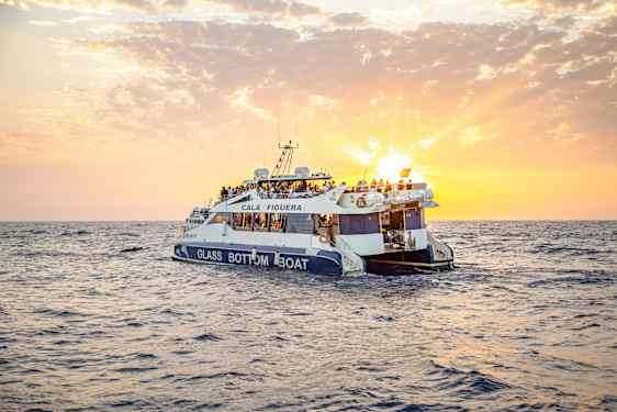 PMI Sunrise and Dolphins (SUDO)