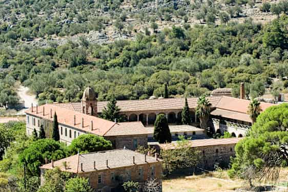 MJT Unique Lesbos (UNIQ)