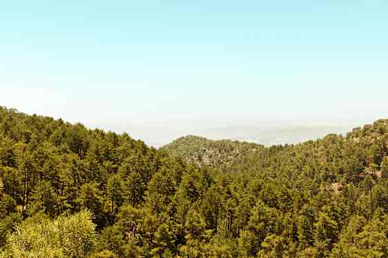 LCA Gems of Cyprus (BEST)