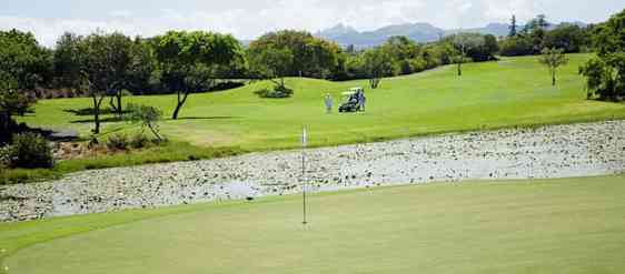 Golbana på Mauritius